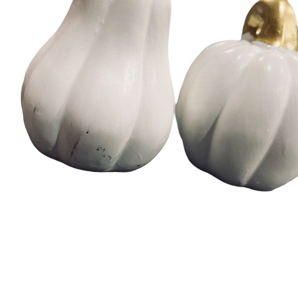 Amici White & Gold Pumpkin Gourd Thirsty Stone Salt and Pepper Shakers NWT - Picture 4 of 11